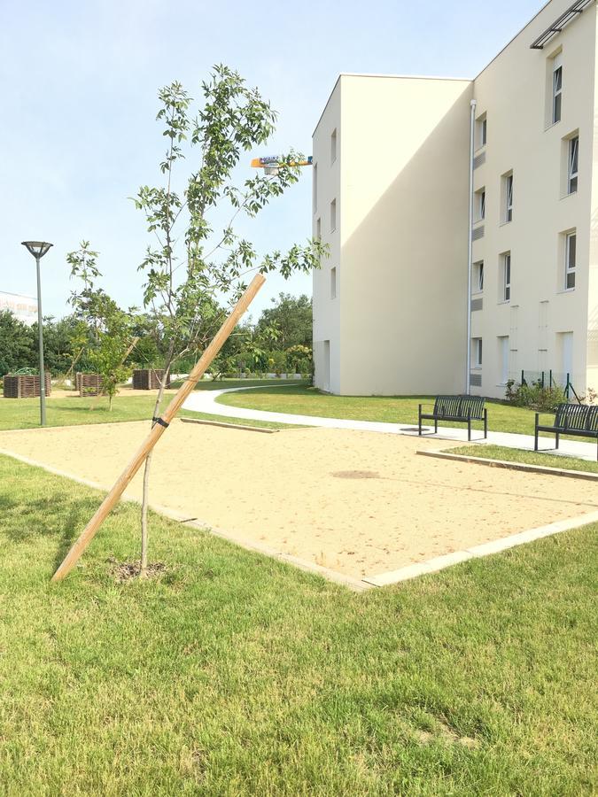 Domitys Rosa Gallica Angers Kültér fotó